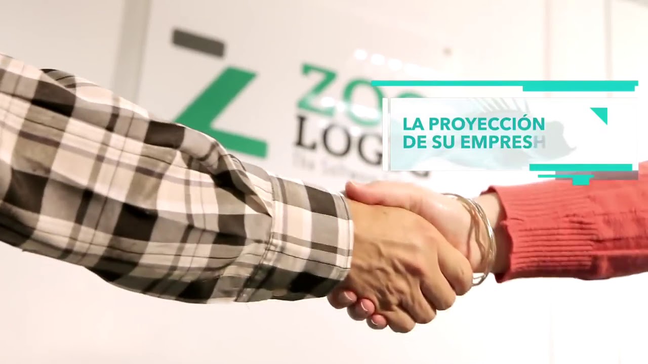 Zoo Logic   Dragonfish Color y Talle - Agente Comercial en Corrientes y Misiones - Cel. 379-4403781