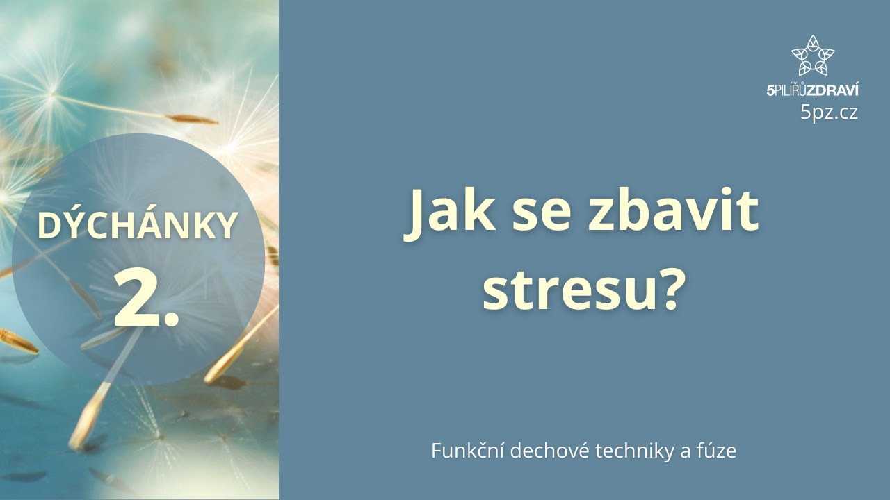 D&Yacute;CH&Aacute;NKY 2 - Jak se zbavit stresu?(meditace s navy&scaron;ov&aacute;n&iacute;m NO)