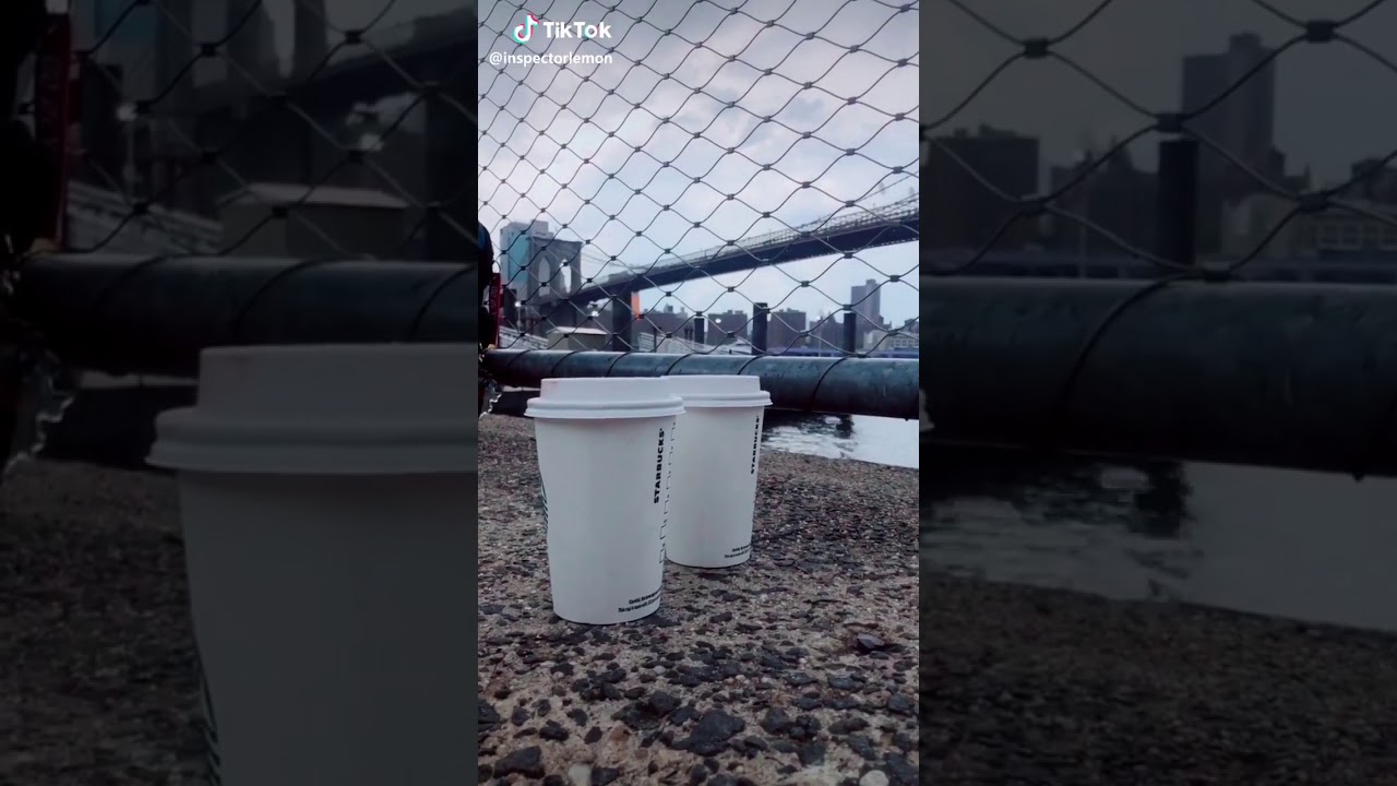 TikTok of AKrCos and Lemon Lemon