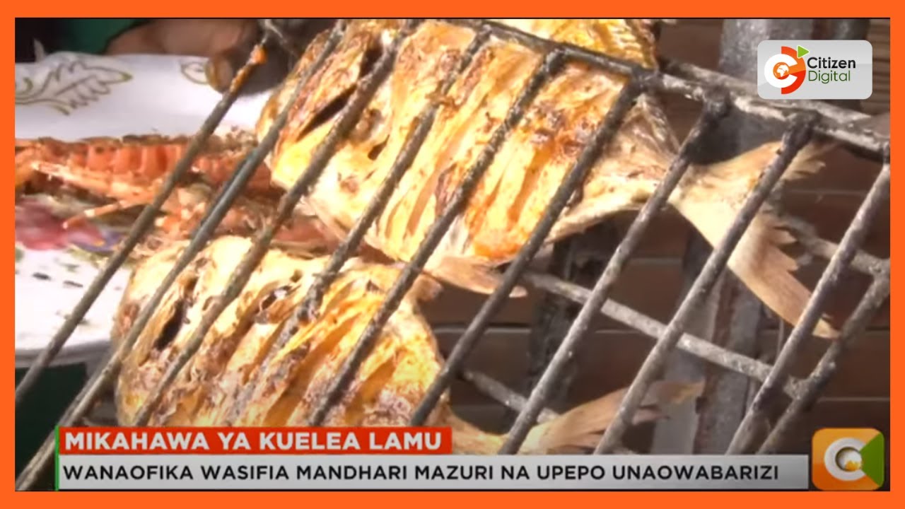 Jinsi mikahawa ya kuolea Lamu yawavutia wageni wanaozuru kisiwa cha Amu