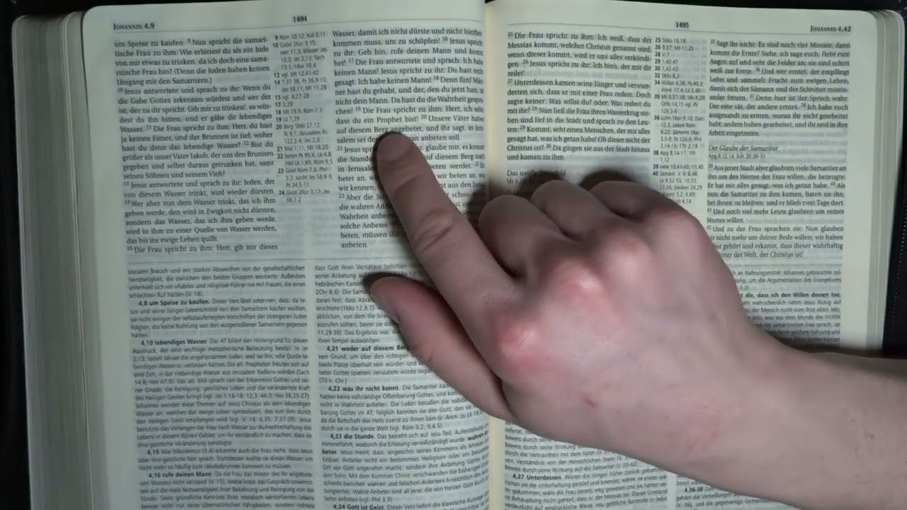 Johannes, Kapitel 4 (Schlachter Version 2000)