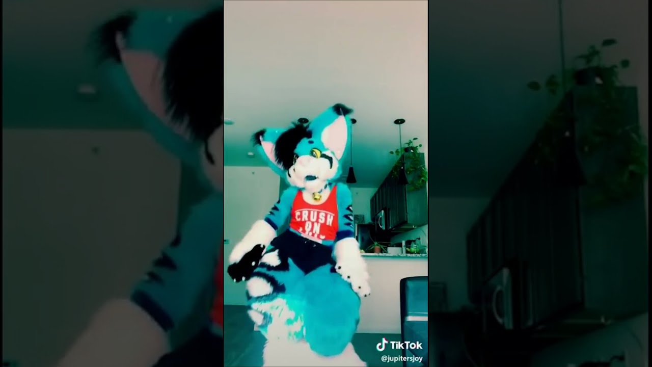 BEST Furry TikToks compilation 0386 #shorts #furrytiktok #furry #furrycompilation  #funnyvideo
