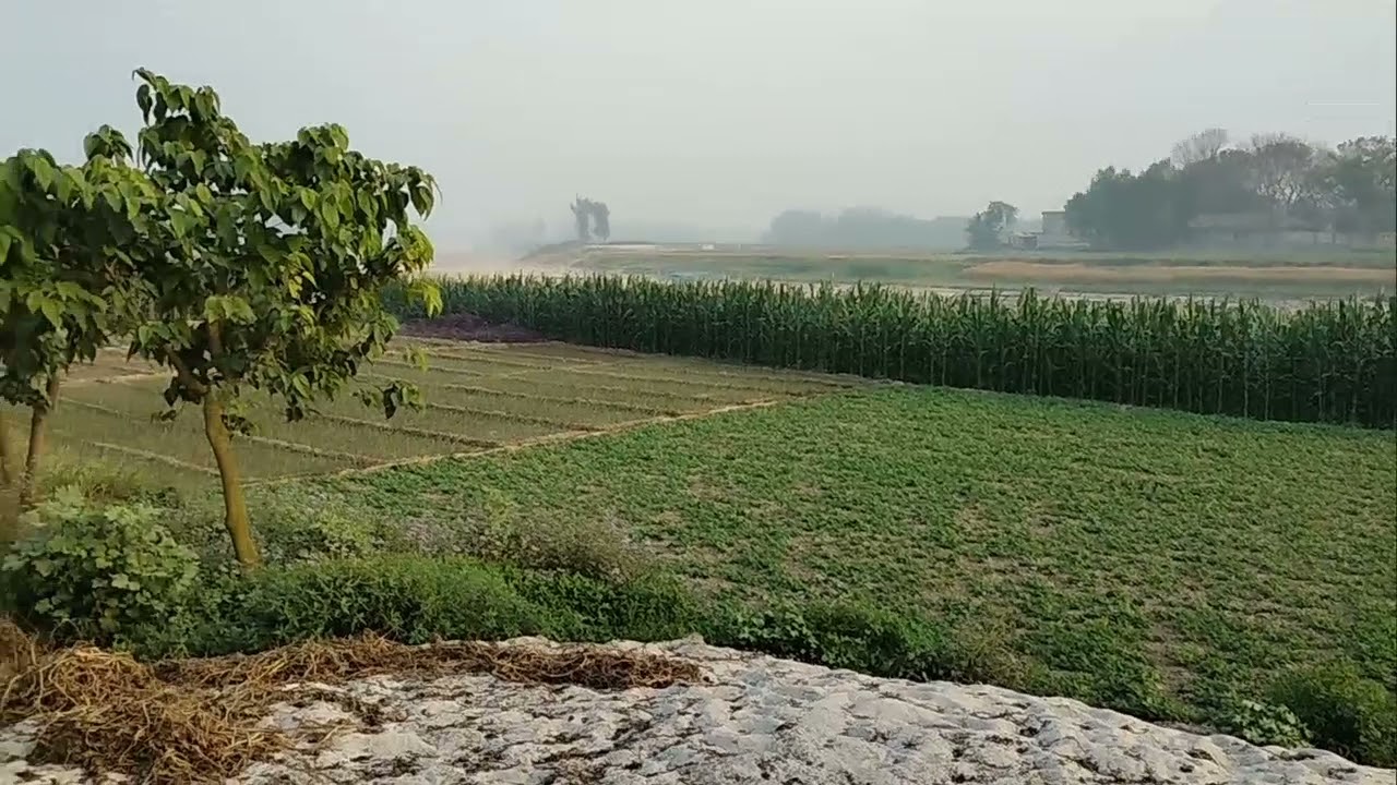 Naogaon our village