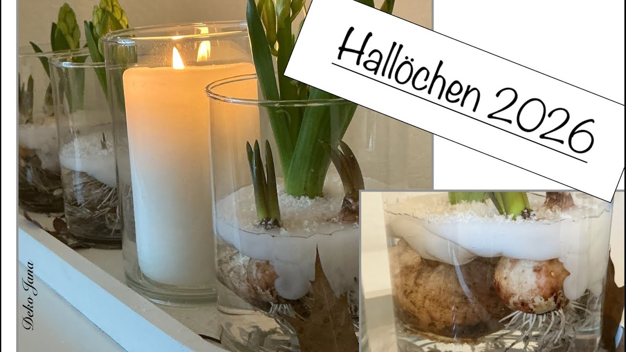 DIY: „Hallo Neujahr „ - Eiszeit - Winter Deko Idee 2026- mach’s dir fein- Deko Jana