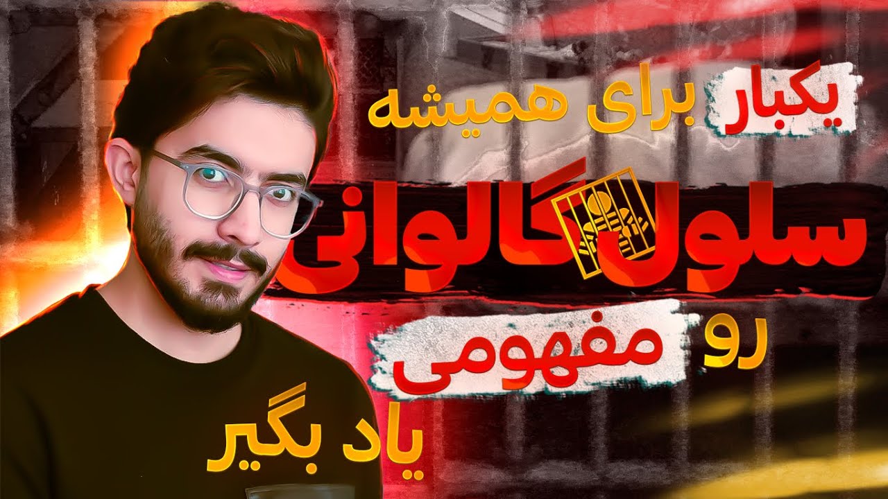 انیمیشن سلول گالوانی  | فصل دوم دوازدهم ، الکتروشیمی