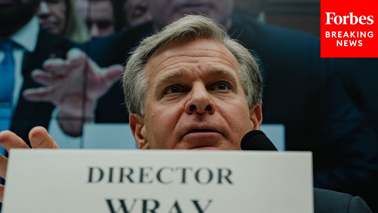 Christopher Wray Questioned About FBI's Handling Of Investigations Related To U.S. Elections