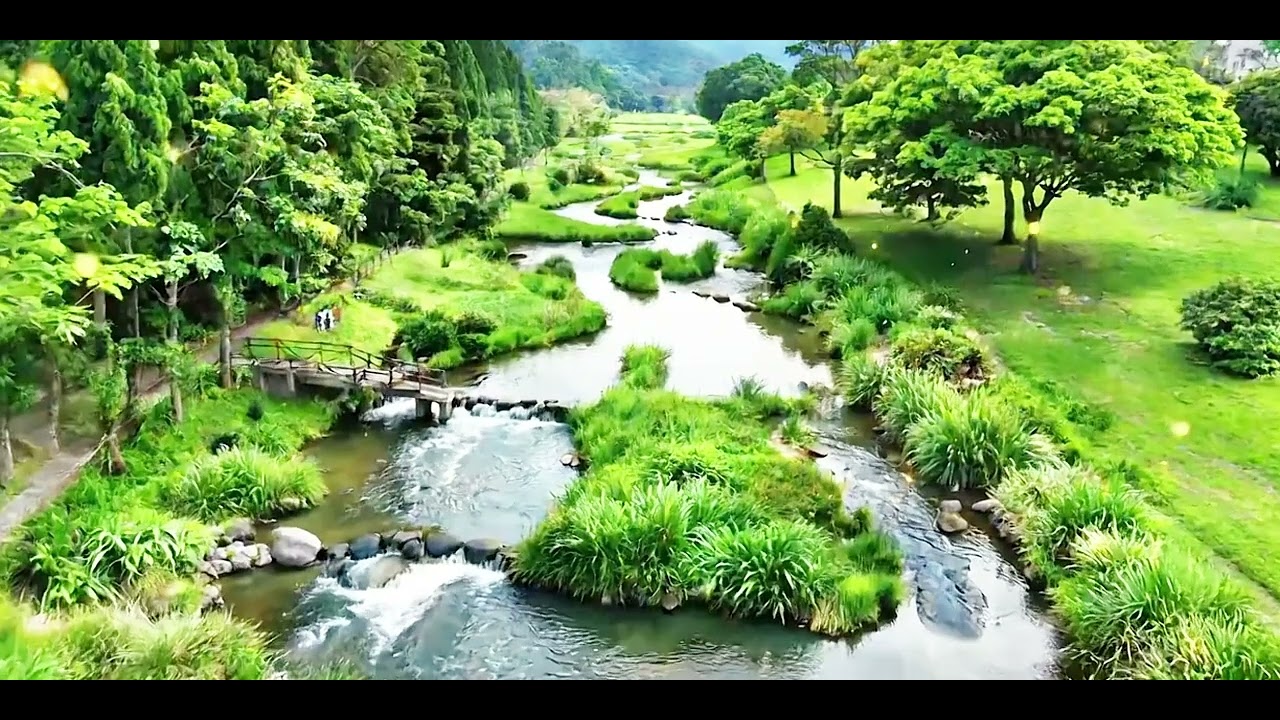 鋼琴輕音樂演奏系列BGM【176】Piano Light Music Series BGM【176】