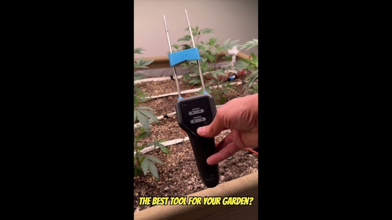 Bluelab Pulse Meter Review