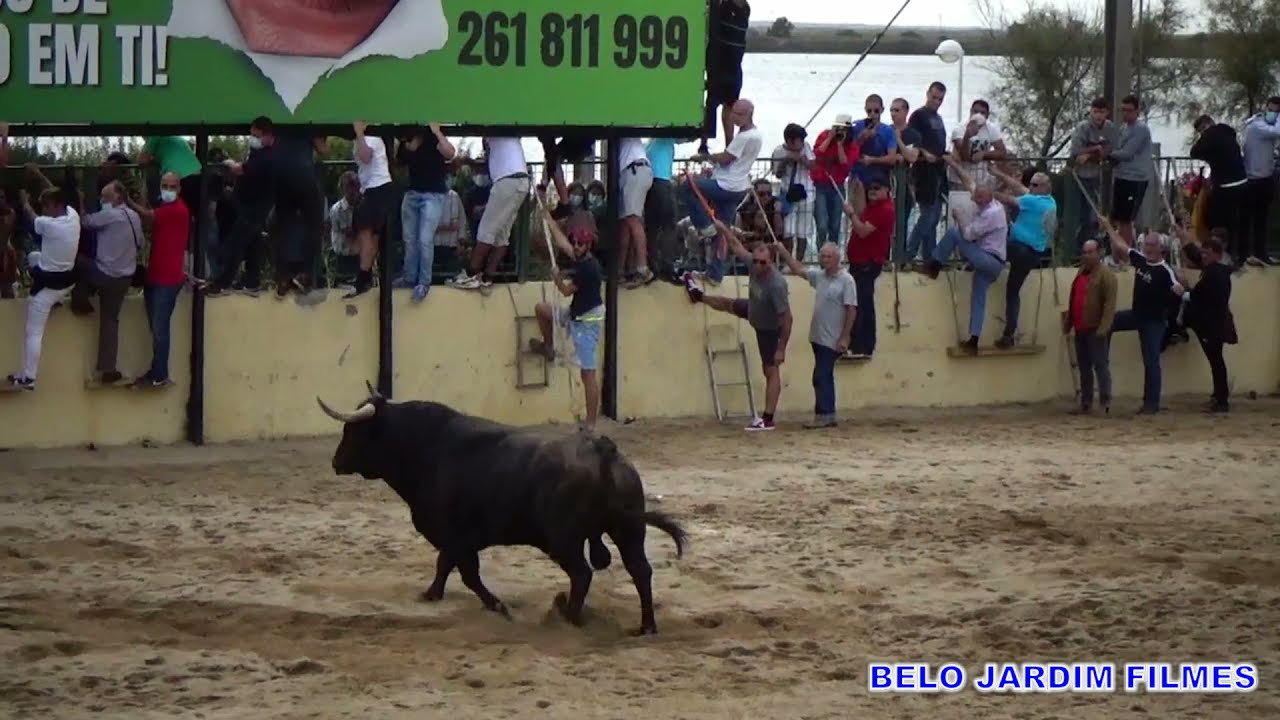 ESPERAS DE TOIROS  FEIRA DE VILA FRANCA DE XIRA DIA 5 DE OUTUBRO 2021