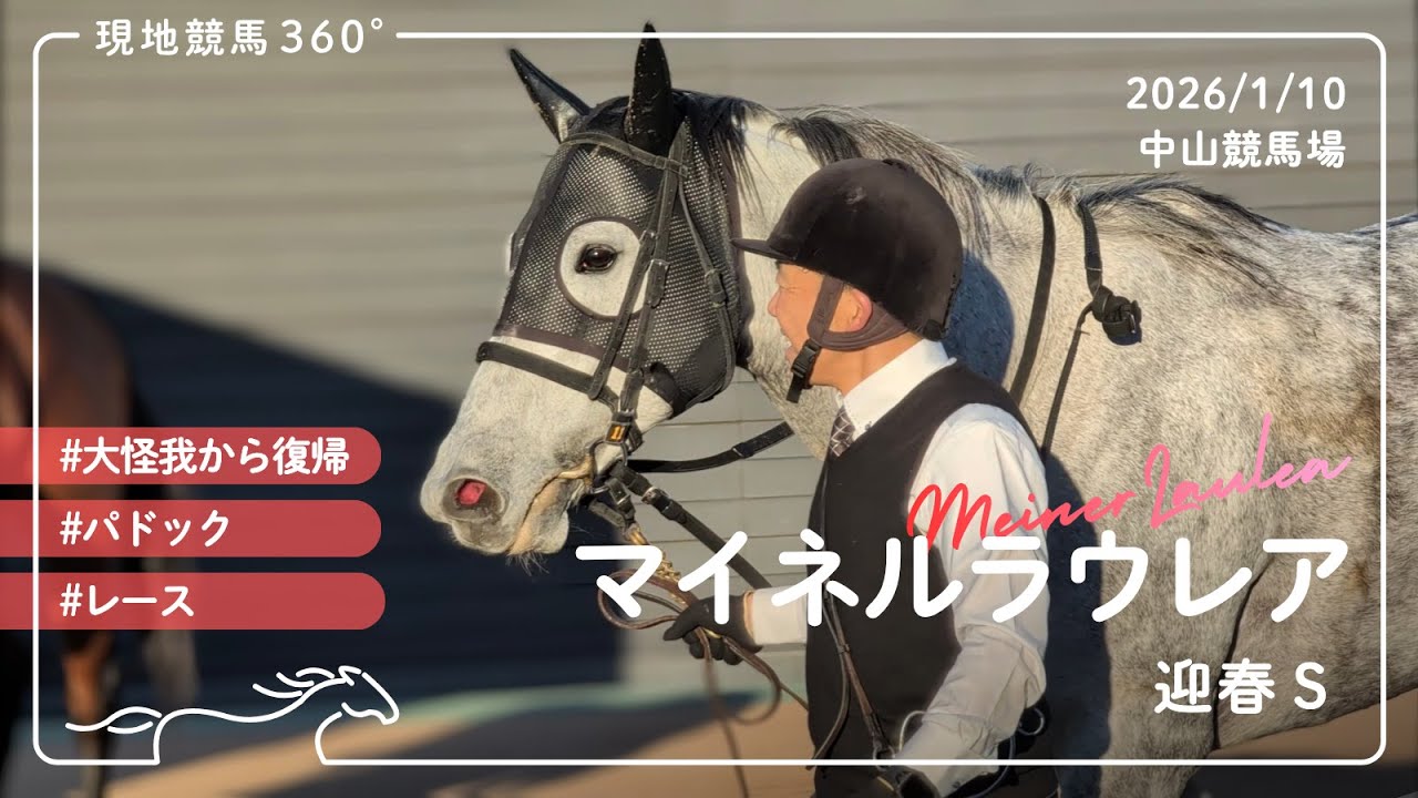 マイネルラウレア | 迎春ステークス | パドック/レース | 2026/1/10 | 中山競馬場