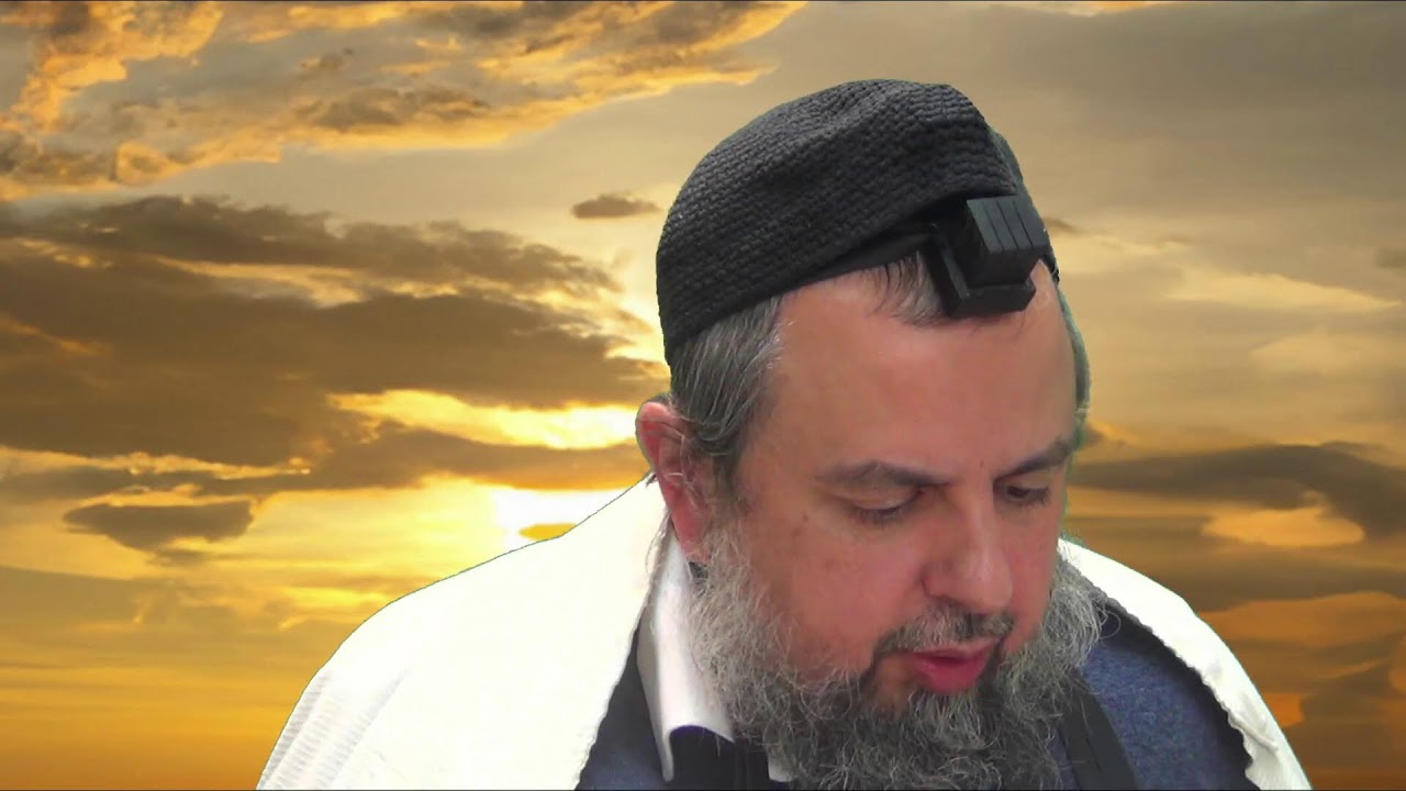 אור לכו שבט תשפו חינוך סו קחזו'ע פורים יח אור החיים משפטים יט רבי מרדכי ליינר מראדזין זיע