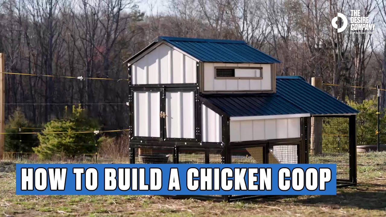 How to Assemble the Producers Pride Bungalow Coop | Step-by-Step Chicken Coop Setup