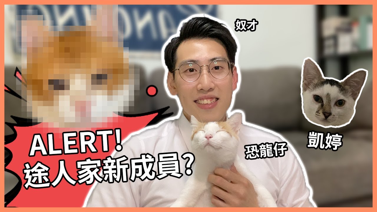 【途人日常】ALERT！新成員進駐途人家😼 | 入屋第一日就見紅🩸💀