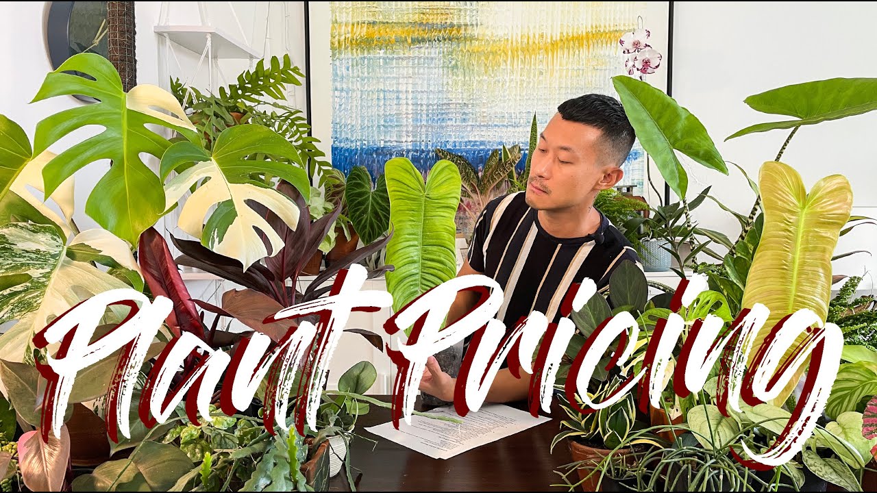 Plant pricing explained (with 10 factors)