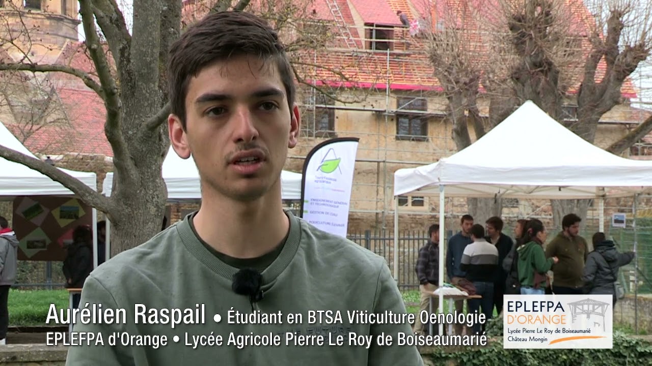 Aurélien Raspail ● Étudiant en BTSA Viticulture Oenologie ● Lycée Agricole d'Orange