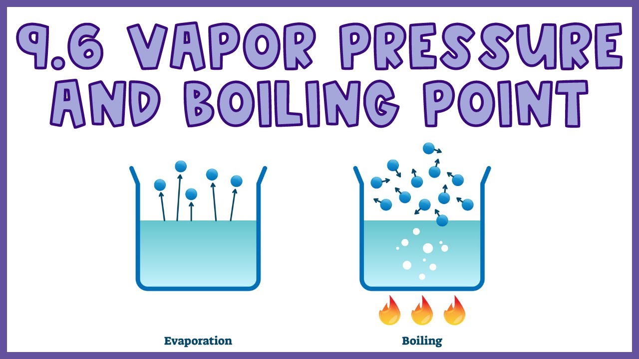 Vapor Pressure Explained as a Property of Gases