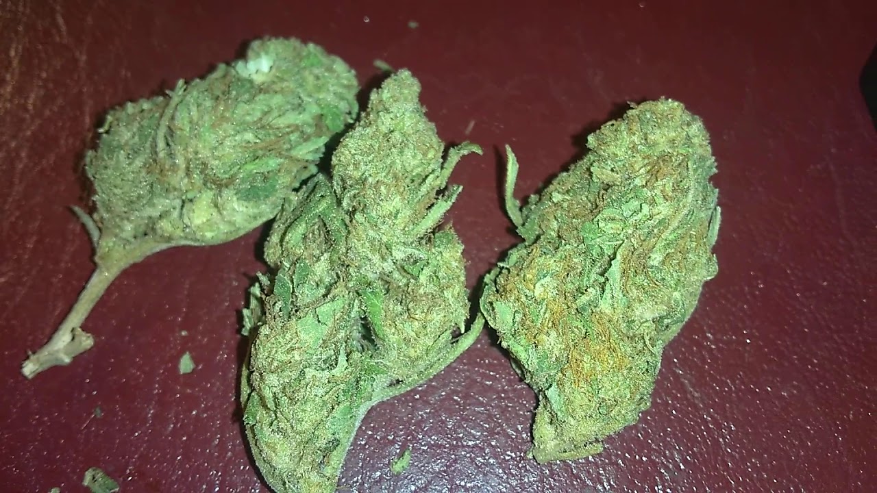 Ihf Fruity Pebbles Og ⛽Alien Dream