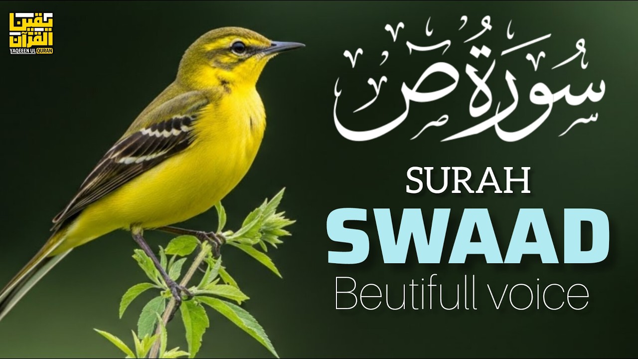 Surah Sad سورة ص | Heart Touching Quran Recitation for Strong Faith | YAQEEN UL QURAN #Sad