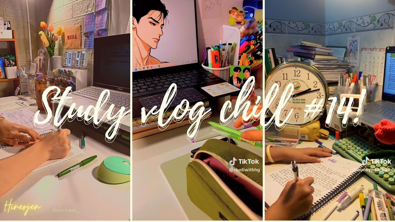 | Tiktok ☕🌈| #14 Tổng hợp những study vlog cực chill 📔📚🖍 #tiktok #study #vlog #asmr