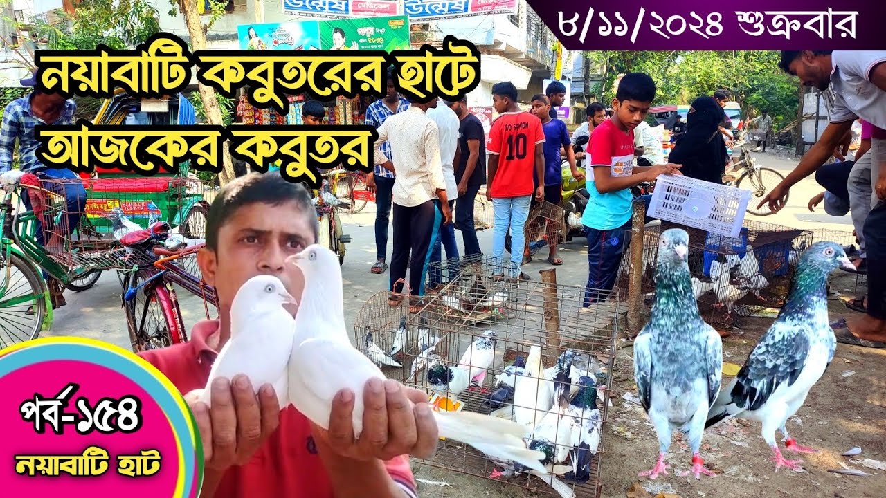 সবথেকে বড় কবুতরের হাট পর্ব-১৫৪ Largest pigeon market in Khulna খালিশপুর, নয়াবাটি, চিত্রালী, খুলনা