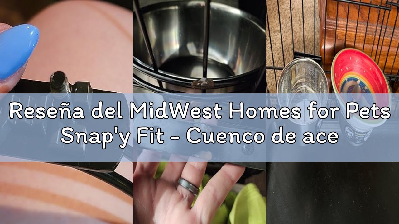 Reseña del MidWest Homes for Pets Snap'y Fit - Cuenco de acero inoxidable para alimentos o agua, cap