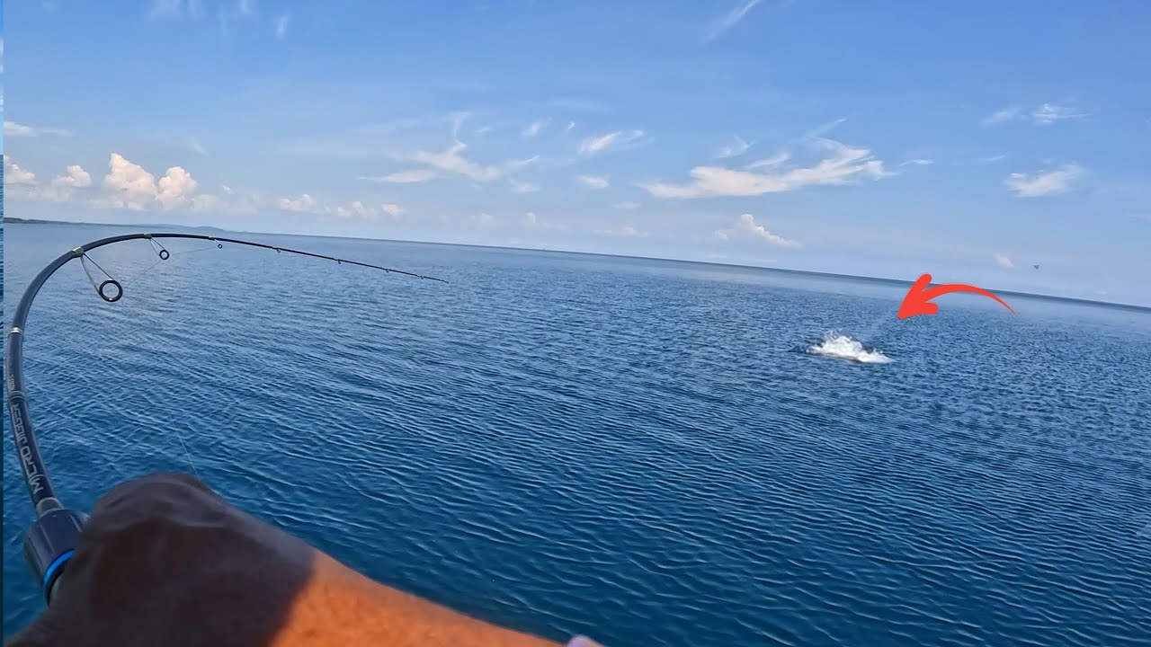 Spot Idaman Pemancing!! Full Strike Dengan 2 Teknik Mancing ini
