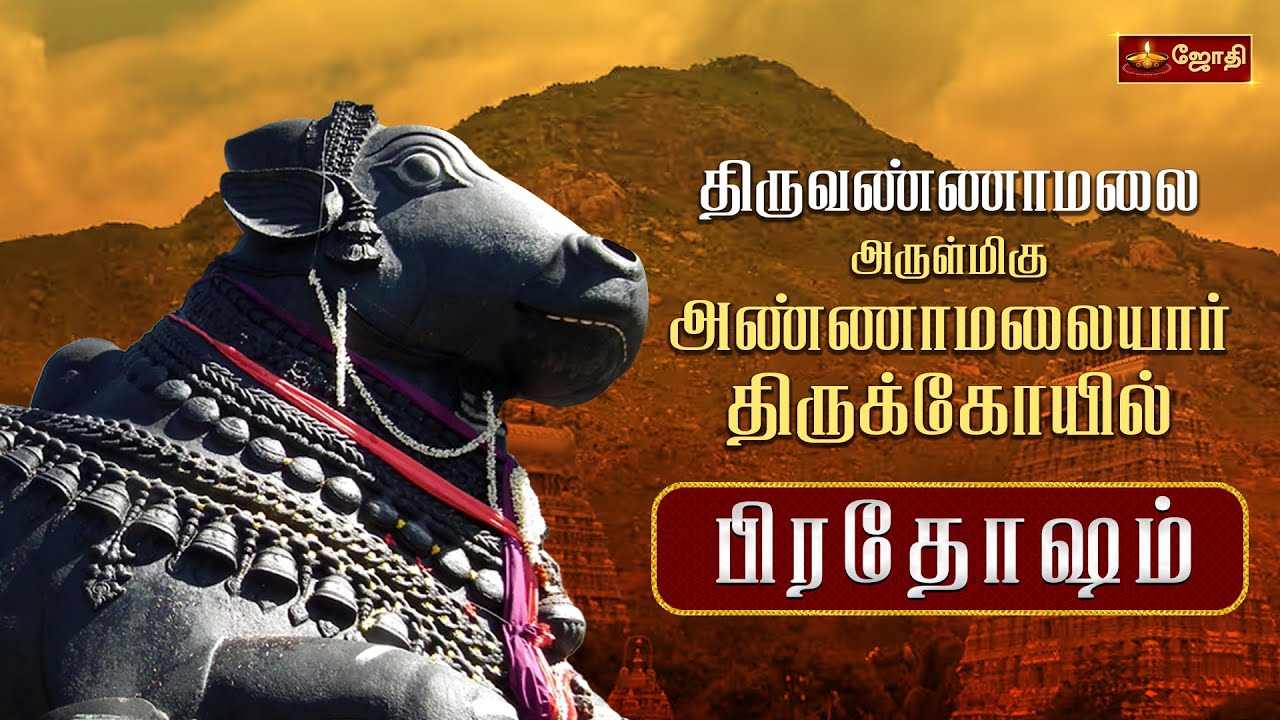 திருவண்ணாமலை ஸ்ரீஅருணாச்சலேஸ்வரர் கோயில் | பிரதோஷம் | Pradosham | Nandi Abhishekam | Jothi Tv
