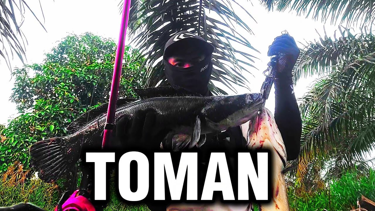 CATING TOMAN ‼️ ABU GARCIA REVO ROCKET 5 