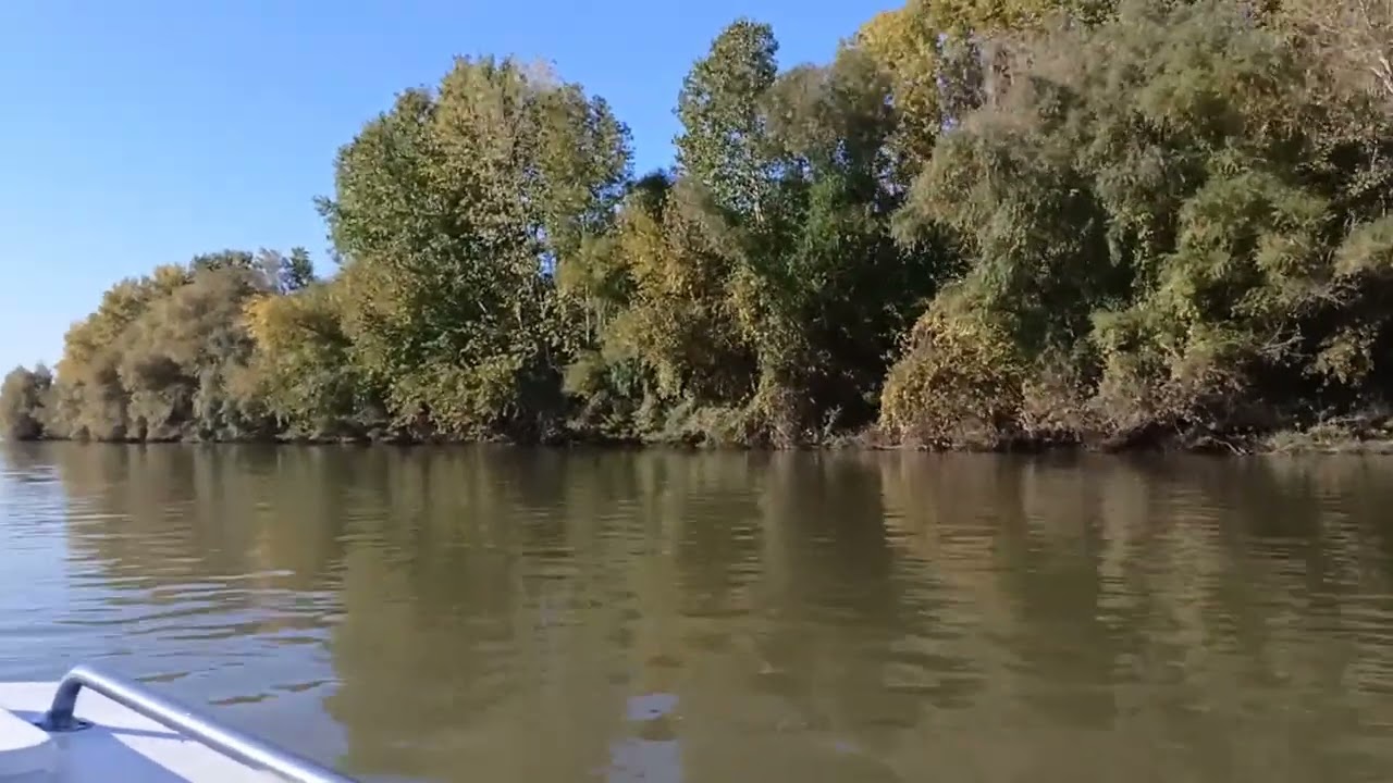 Perfect de toamna pe bratul Borcea/Inedit de Octombrie pe fluviul Dunarea(1)