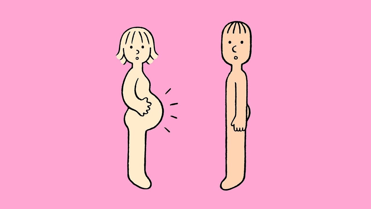【SEXOLOGY LESSON】#2 妊娠