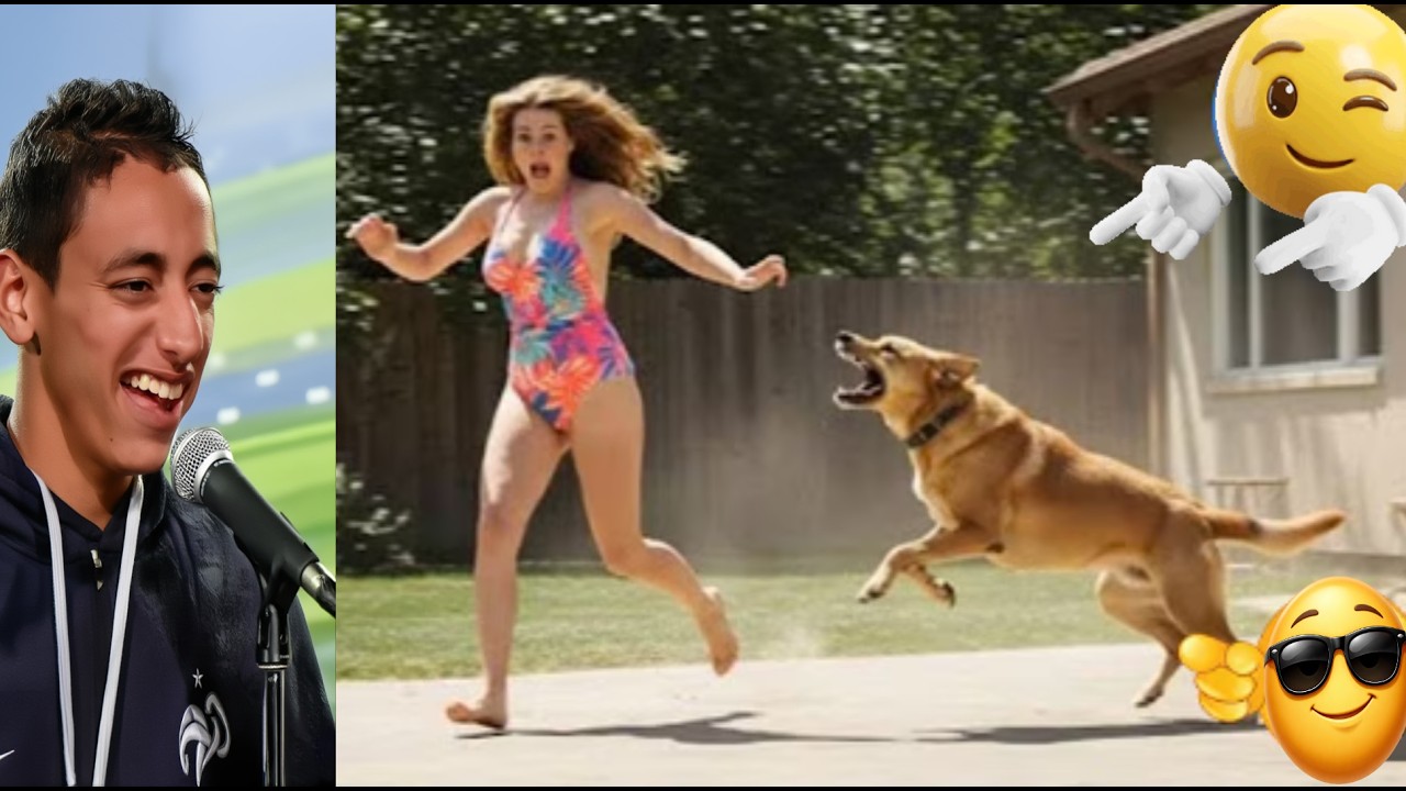 \The Craziest Funny Videos in the World Try Not to Laugh!🤣 #24