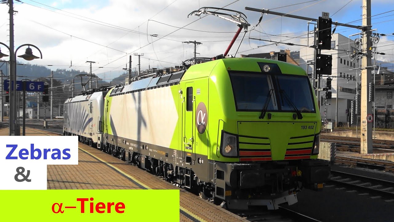 Innsbruck Hbf:ɑ-Train Vectron & 🦓Lokomotion, ICE Coburg,🛬Flugverkehr & mehr