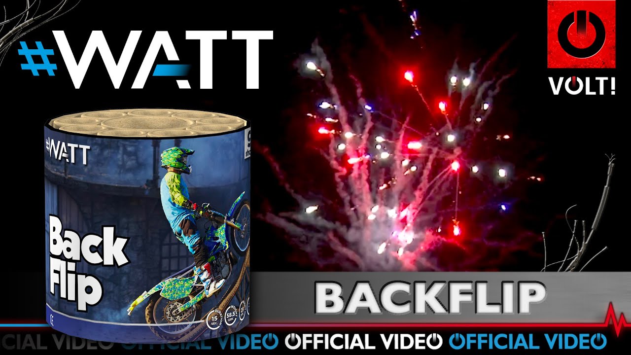Backflip - 1004  |  CAT F2  |  Official video