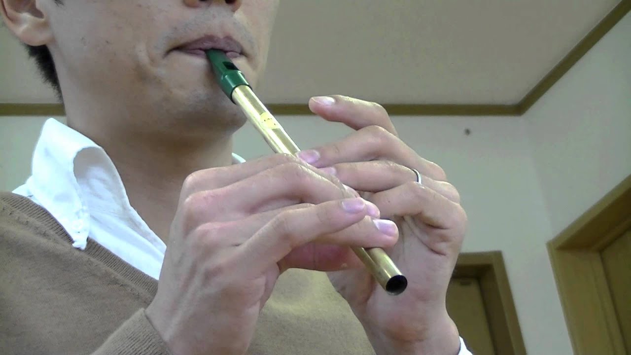 Tin Whistles - Feadog, Victorian, Sweetone, Meg - ティン・ホイッスル