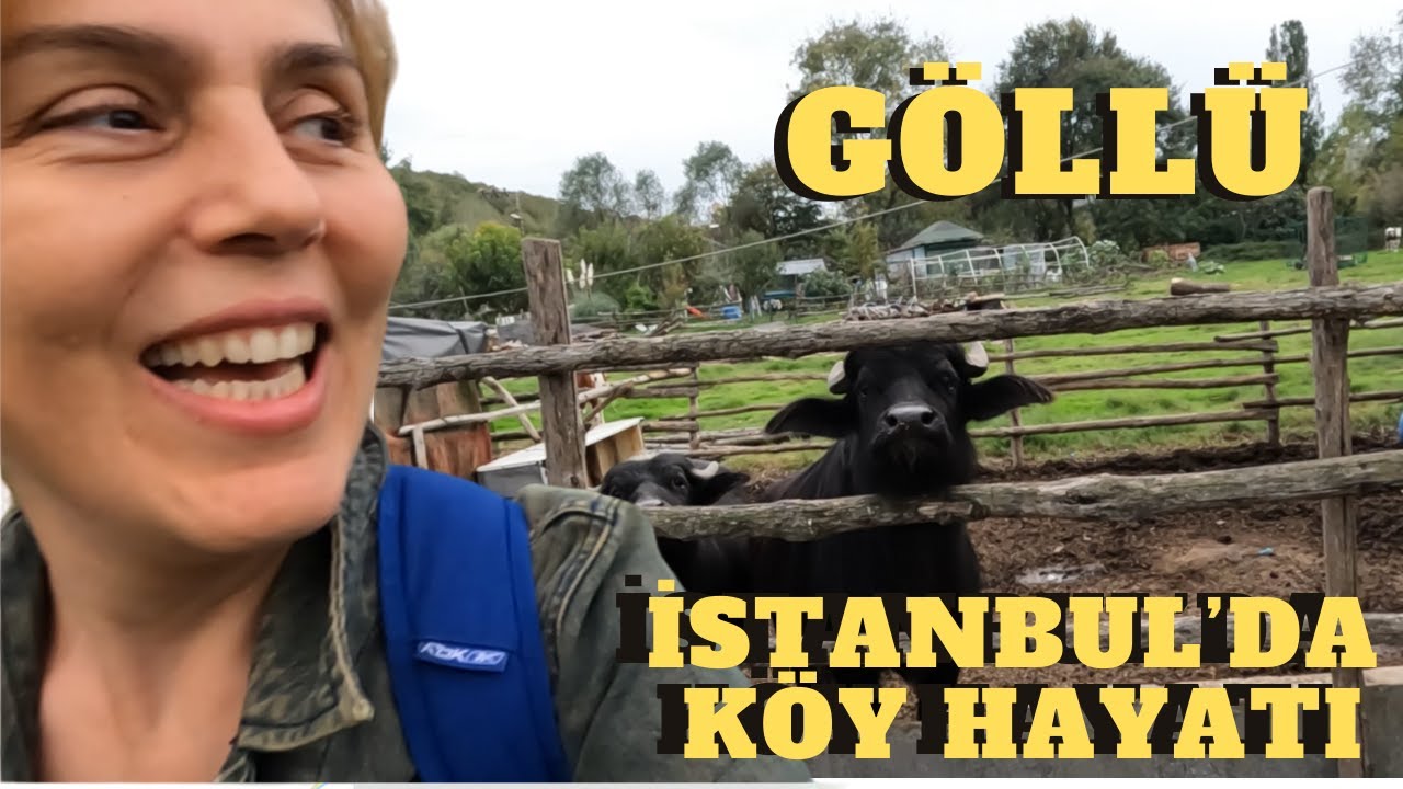 İSTANBUL'DA KÖY HAYATI YAŞIYORLAR - ŞEHRİN EN UFAK KÖYÜ : GÖLLÜ - HEPSİ MANAV TÜRKÜ, BEYKOZ...