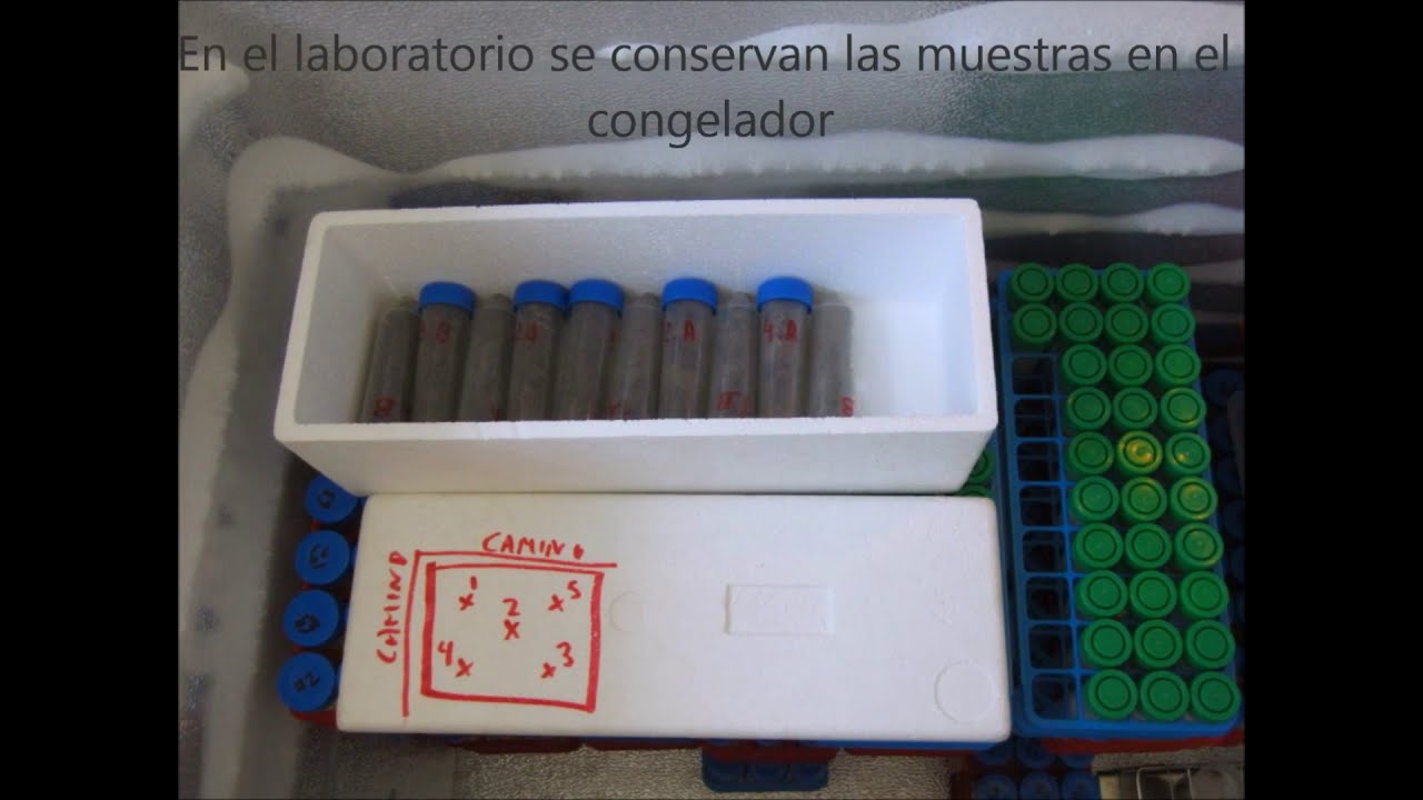 muestreo de suelo para análisis microbiológico