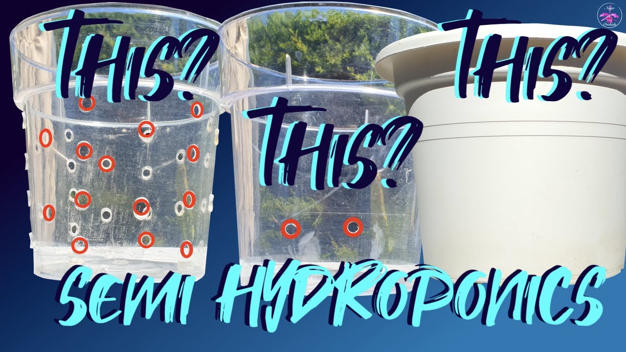 Can Semi hydroponic pots have ventilation holes? Best options Semi Hydro pots! #ninjaorchids