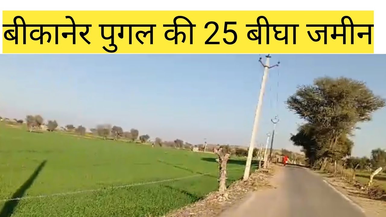 बीकानेर पूगल की 25 बीघा जमीन बिकाऊ। Bikaner ki bikau Jameen। #land #rajsthanproperty #farming