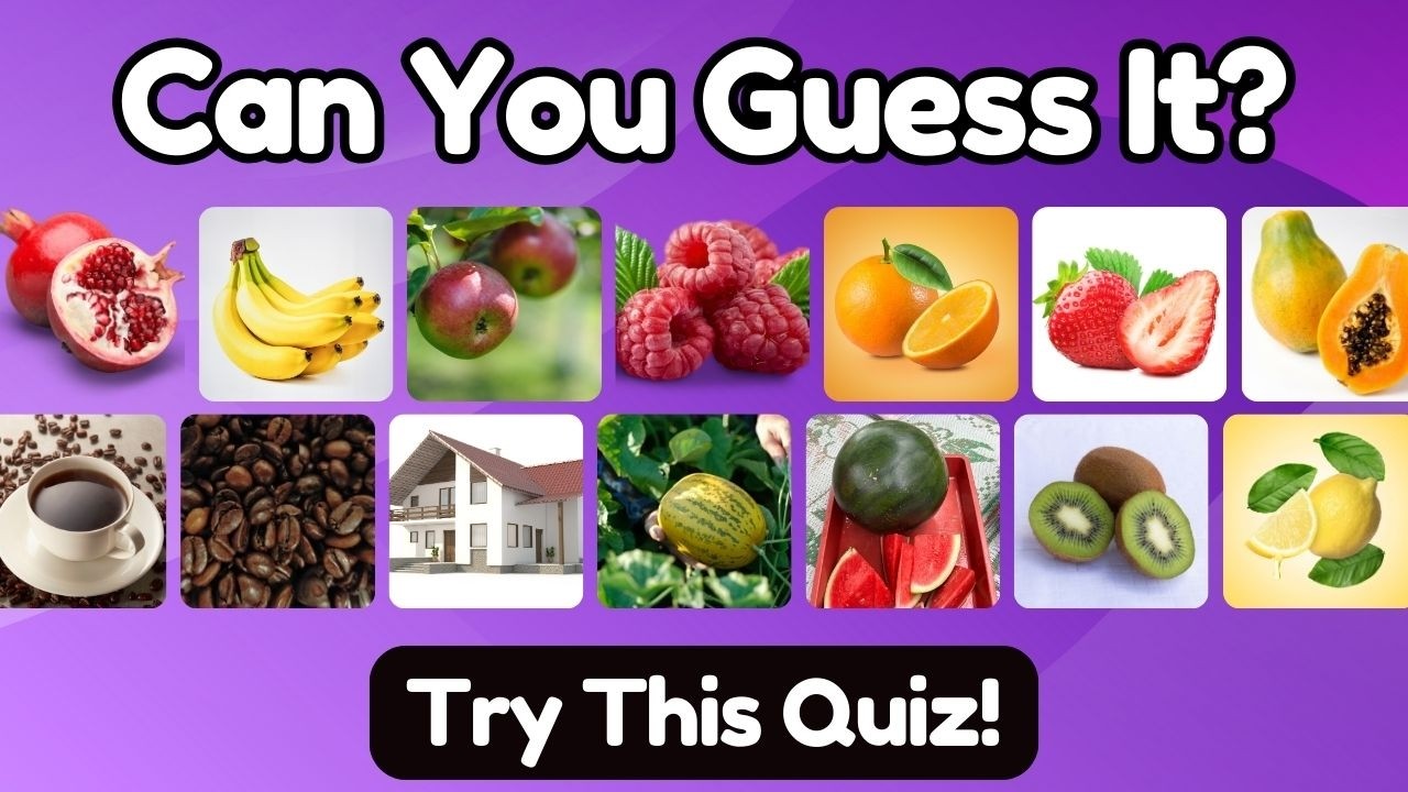 Guess the Picture Challenge | A Fun Game for All Ages