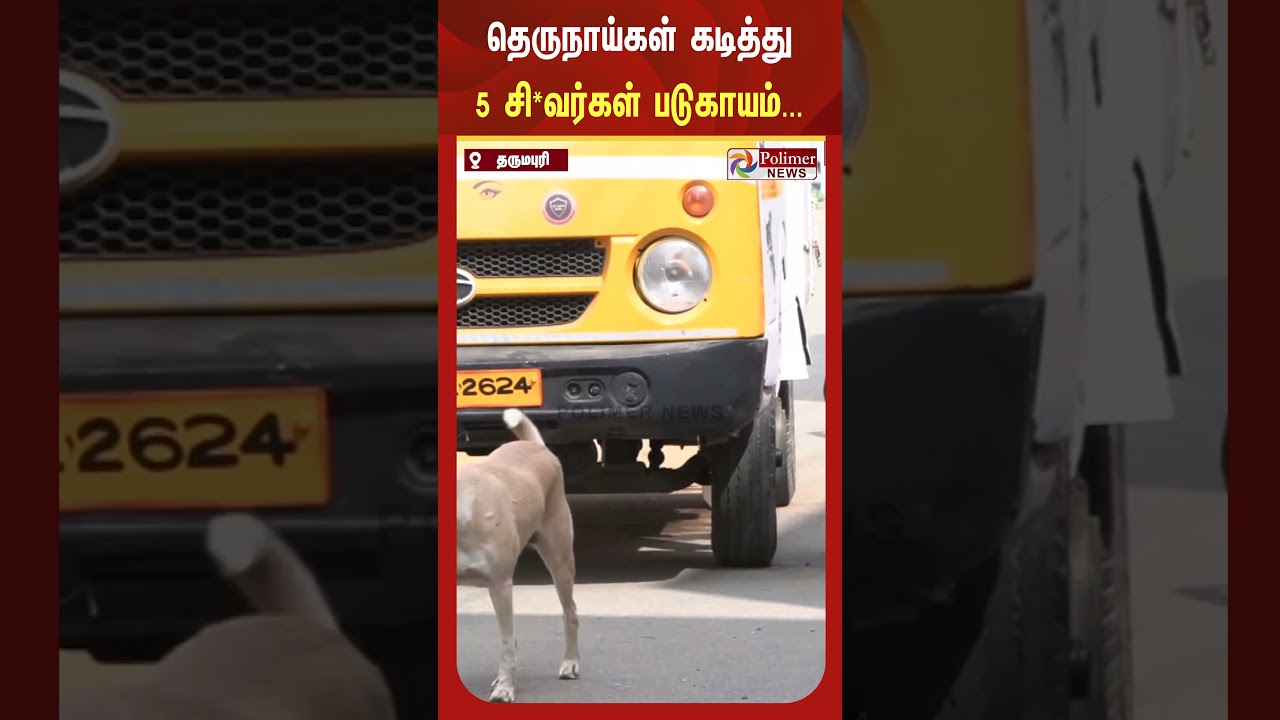 தெருநாய்கள் கடித்து ஒரே நேரத்தில் 5 சி*வர்கள் படுகாயம்..