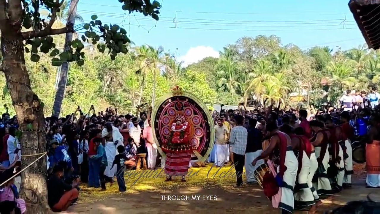 ചിറകുറ്റി പുതിയ ഭഗവതി ക്ഷേത്രം - വയലിലെ കോട്ടം... പഞ്ചുരുളി തെയ്യം #theyyam #kavukalum_theyyangalum 
