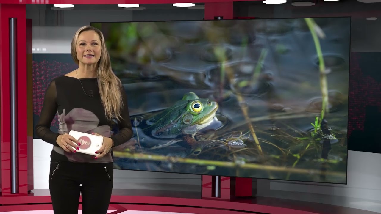 U nás v kraji - 6. února 2026. Magazín Jihočeského kraje