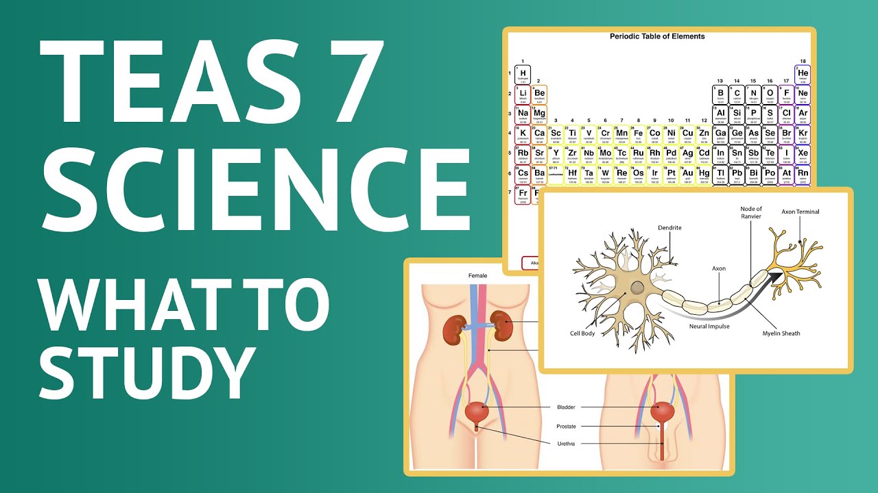 TEAS Science Review | TEAS 7 Science