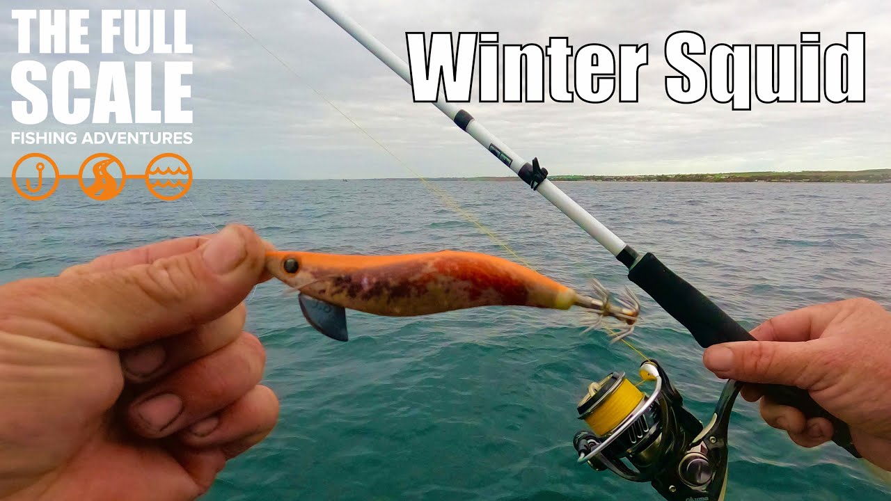 Winter Squid | The Full Scale