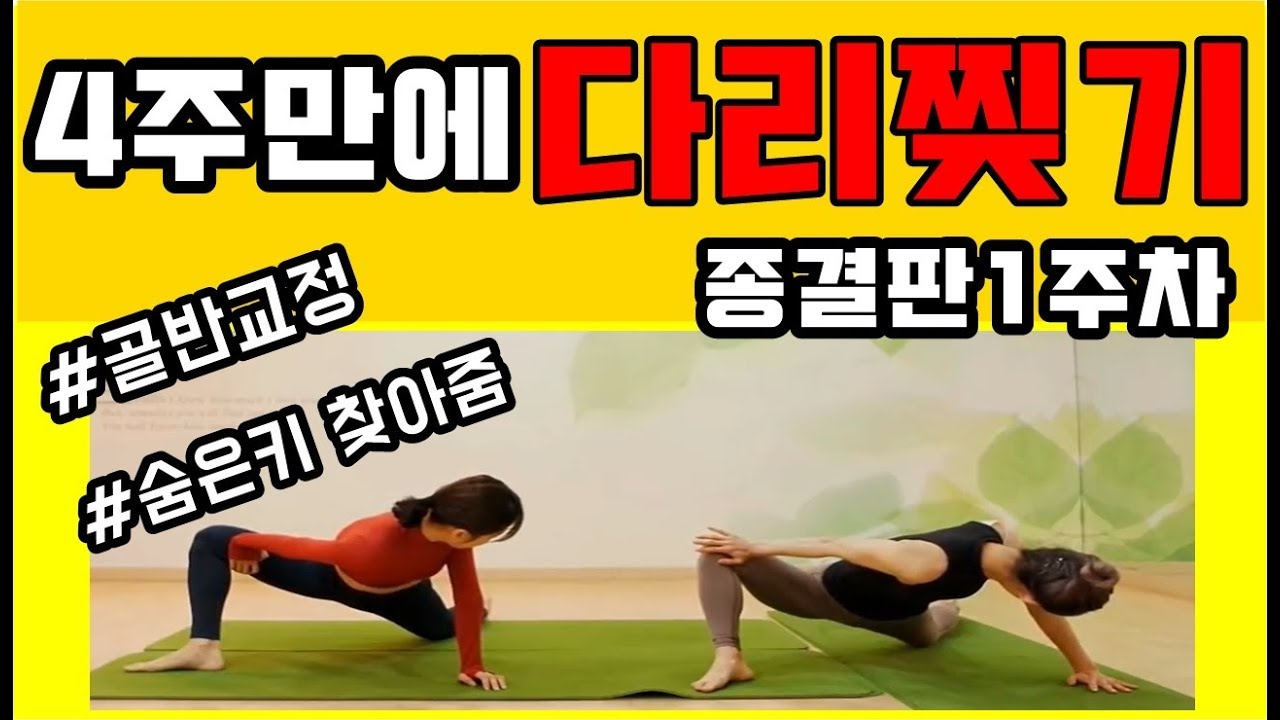 종결판NEW4주다리찢기1주차/Stretching legs/다리찢기 일자되는법/다리찢기 초보/고관절유연성/루나홈트LUNA WORK OUT