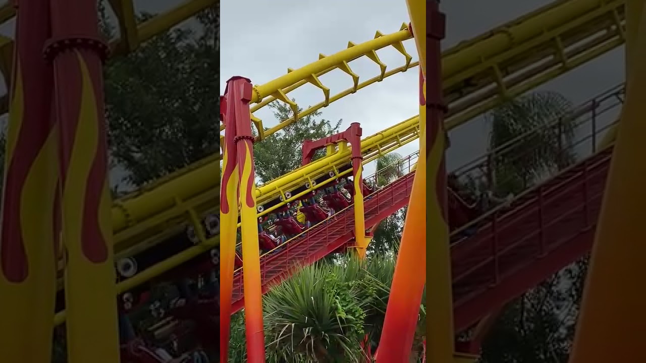 Fire whip - Beto carrero