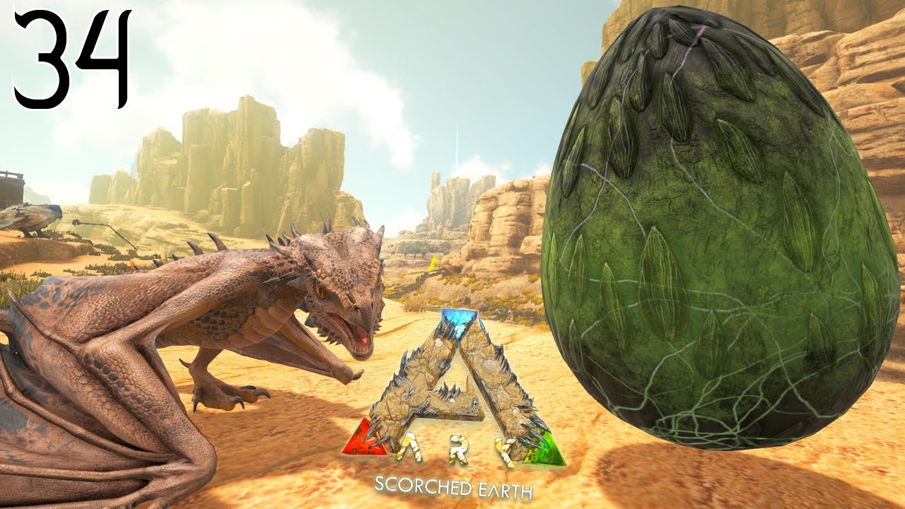 JE CAPTURE UN NOUVEL ŒUF DE WYVERN ! | ARK: Scorched Earth ! #Ep34