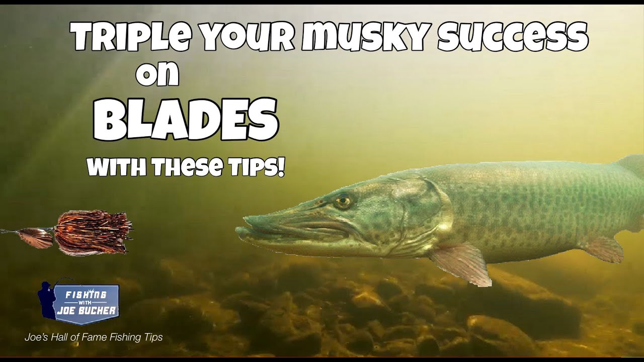 TRIPLE Your Musky Catches On Blades!