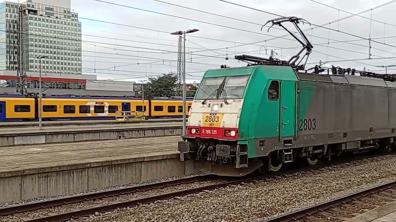 ECD, EC and IC's in Brussel-Noord 