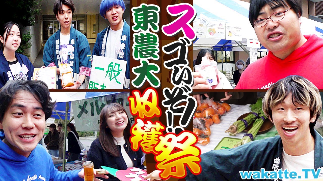 【日本一うまいッ！学園祭】味噌も蜂蜜もジビエまで学生の手作り！？東京農業大学 収穫祭を楽しもう！！【wakatte TV】#1333